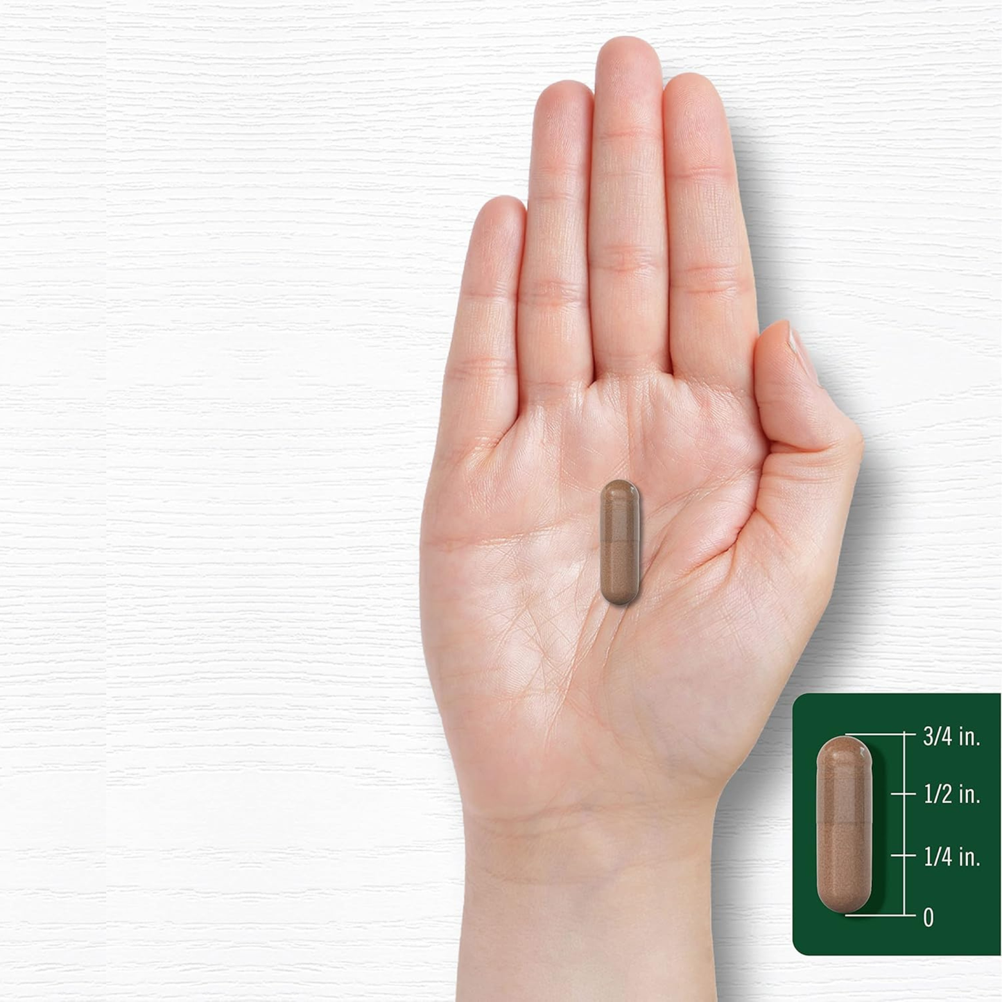 Carlyle Pycnogenol 100mg, Extrato de Casca de Pinheiro Marítimo Francês (Pinus Pinaster), 30 Cápsulas