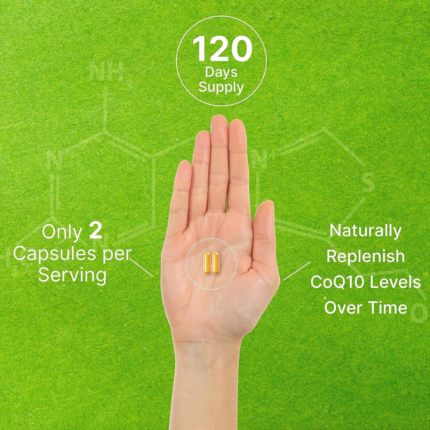 Deal Supplement CoQ10 200 mg + PQQ 200 mcg 240 Cápsulas Vegetais