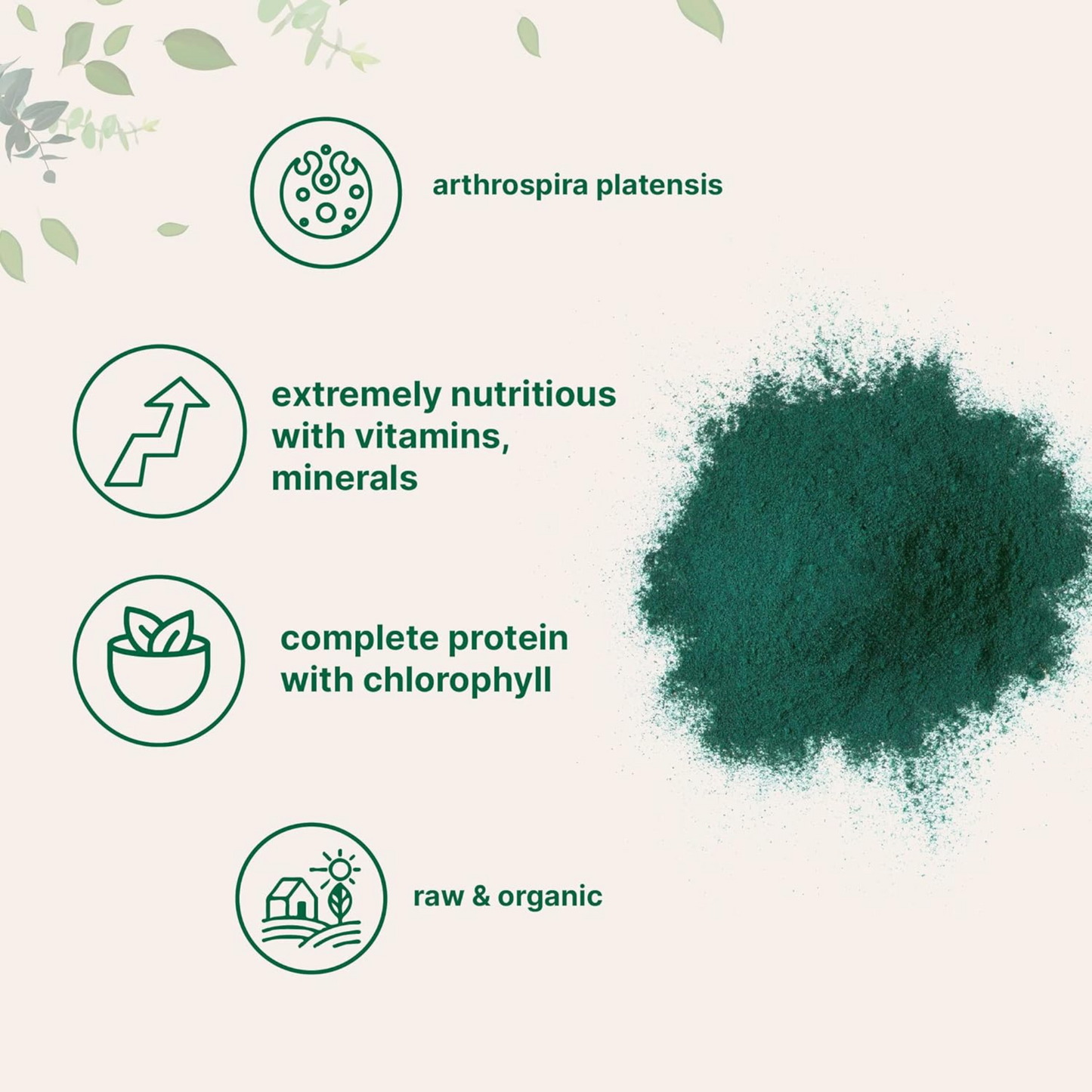 Micro Ingredients Spirulina Orgânica em Pó, 453 g, Superalimento Rico em Proteína e Nutrientes