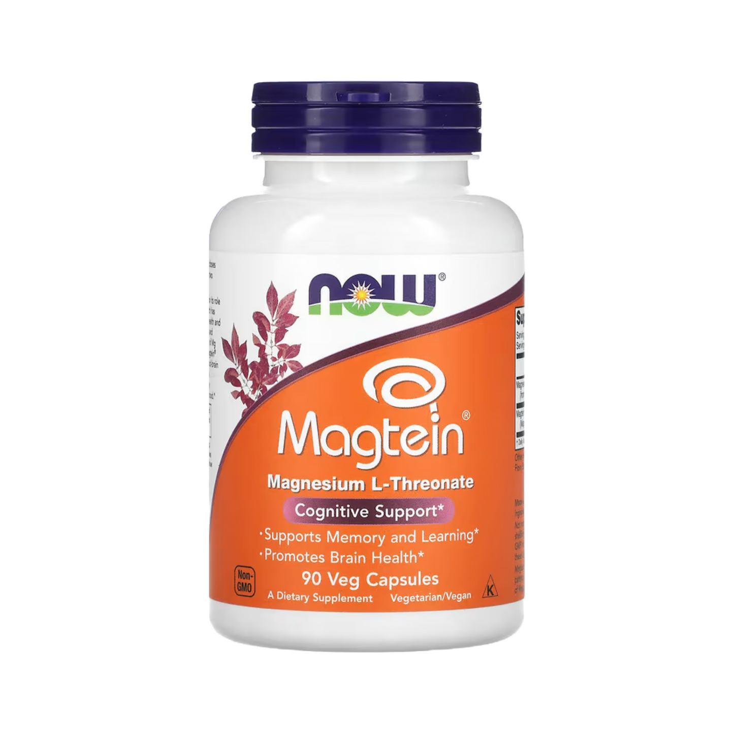 Combo Healthy Origins Vitamina D3 10000 IU, 240 Softgels + Now Foods Ômega 3 1000 mg, DHA 500 mg, EPA 250 mg, 180 Softgels + NOW Foods Magtein Magnésio L-Threonate, 90 Cápsulas Vegetais