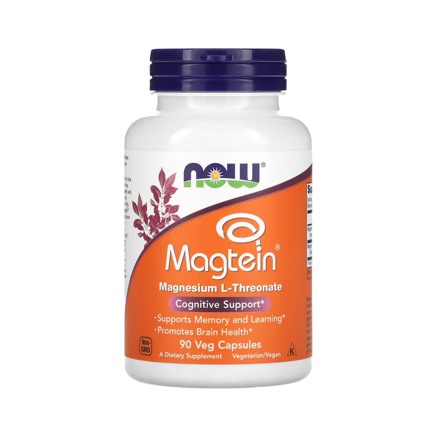 Combo 1 Healthy Origins, D3, 10000IU, 240 Softgels + 1 Now Foods, Omega 3, 1000 mg, DHA 500, EPA 250, 180 Softgels + 1 NOW Foods, Magtein, Magnesium L-Threonate, 90 Veg Capsules