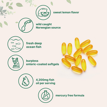 Micro Ingredients Ômega 3 Tripla Força 4200 mg, 240 Cápsulas Softgel, Sabor Limão